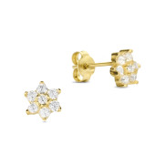 Cercei aur 14K floare cu pietre DiAmanti NK002EG14K-AS